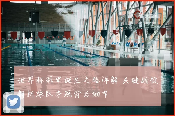 世界杯冠军诞生之路详解 关键战役解析球队夺冠背后细节